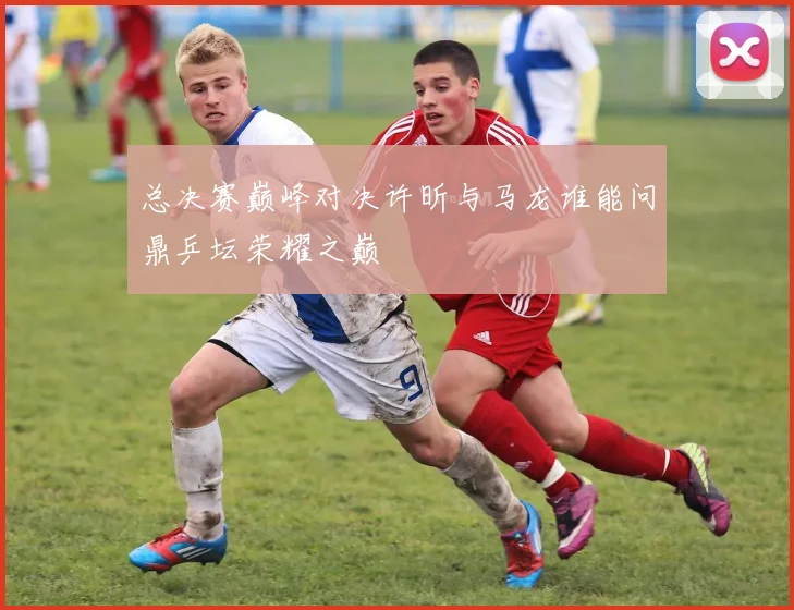 总决赛巅峰对决许昕与马龙谁能问鼎乒坛荣耀之巅